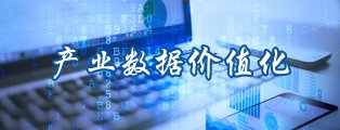 产业数据价值化