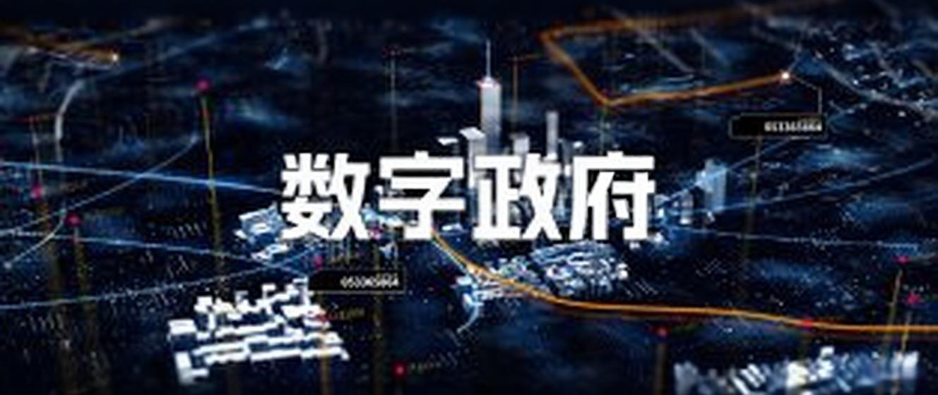 数字政务